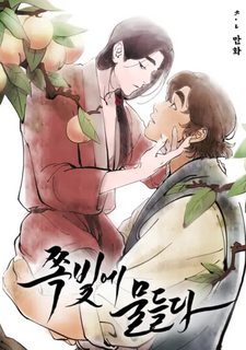 hoa-thanh-hoa-tinh-ta