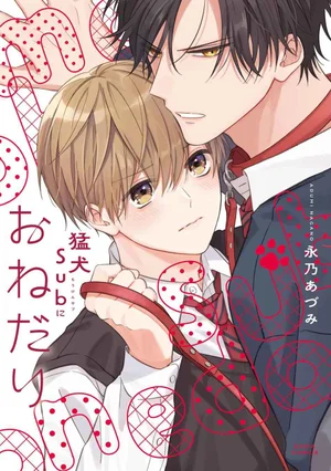 loi-khan-cau-ac-khuyen