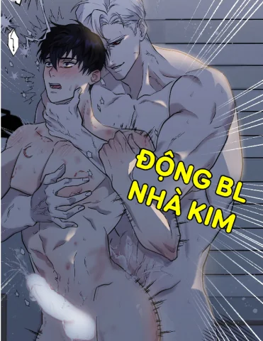 manh-vo-cua-anh-trang