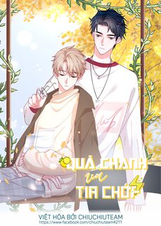 qua-chanh-va-tia-chop-end