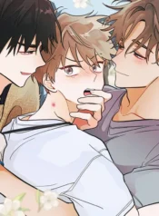 Tình Yêu Hoa Lê Nở